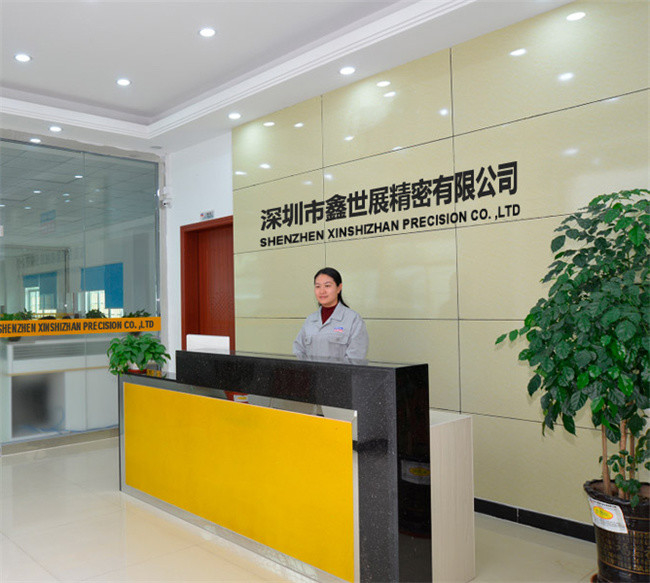 China Xinshizhan Precision Co., Ltd. Unternehmensprofil